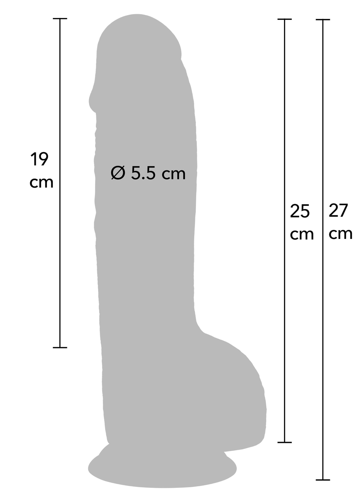 Realistic Dildo PVC 25 cm SKIN - 4