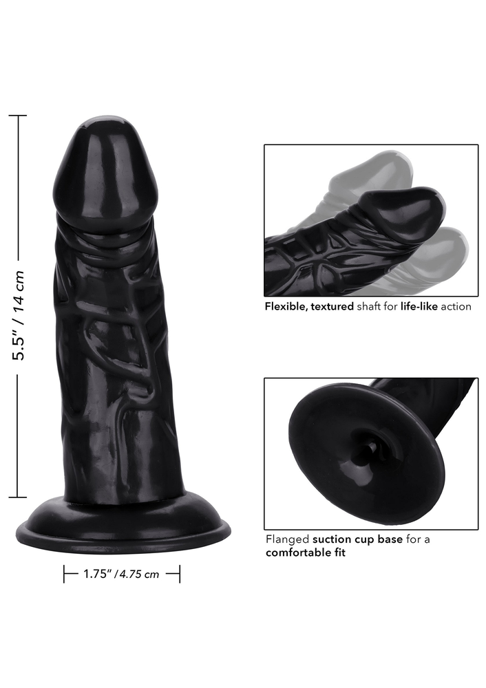 CalExotics Back End Chubby BLACK - 3
