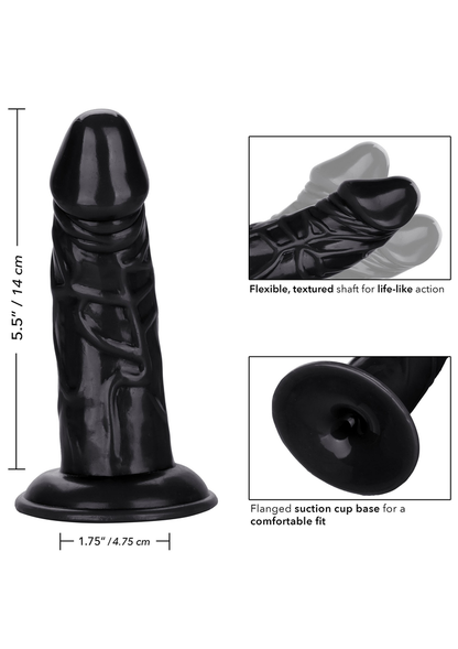 CalExotics Back End Chubby BLACK - 3
