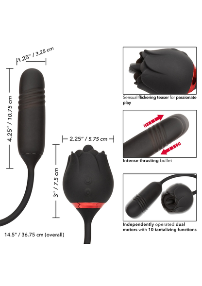 CalExotics French Kiss Elite Romeo BLACK - 6