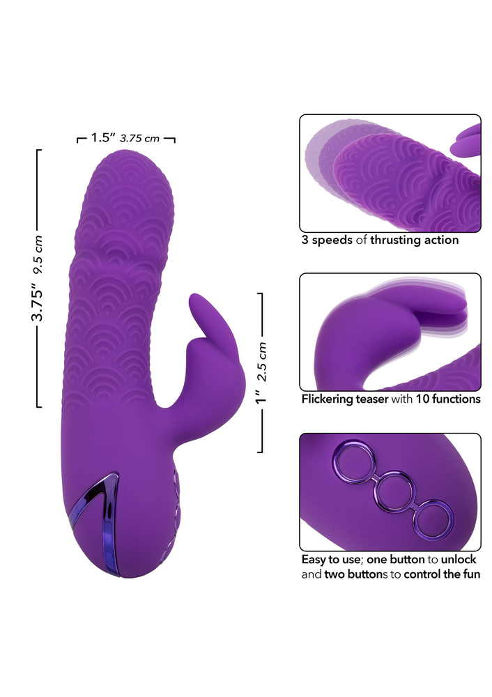 CalExotics California Dreaming Manhattan Beach Marvel PURPLE - 3