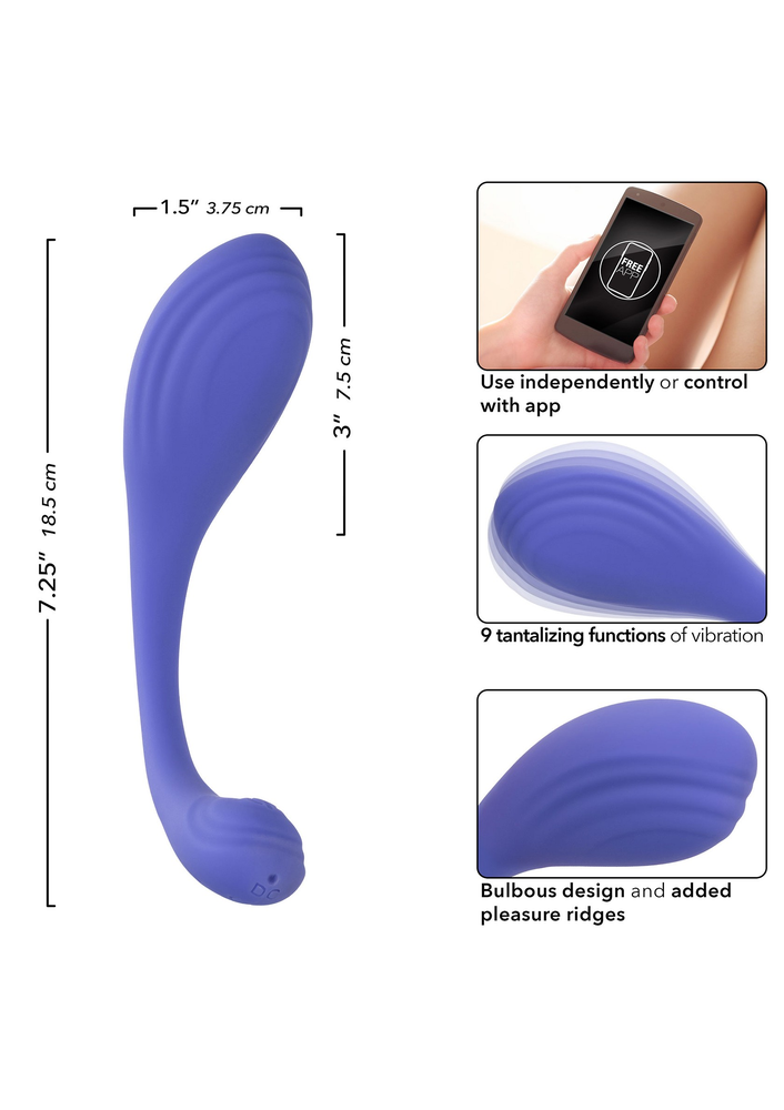 CalExotics Connect Kegel Exerciser PURPLE - 853