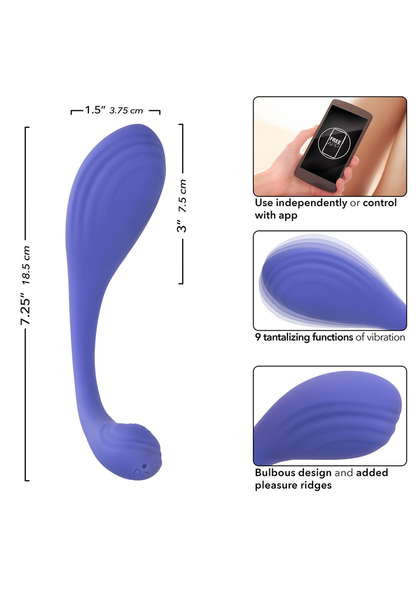 CalExotics Connect Kegel Exerciser PURPLE - 853