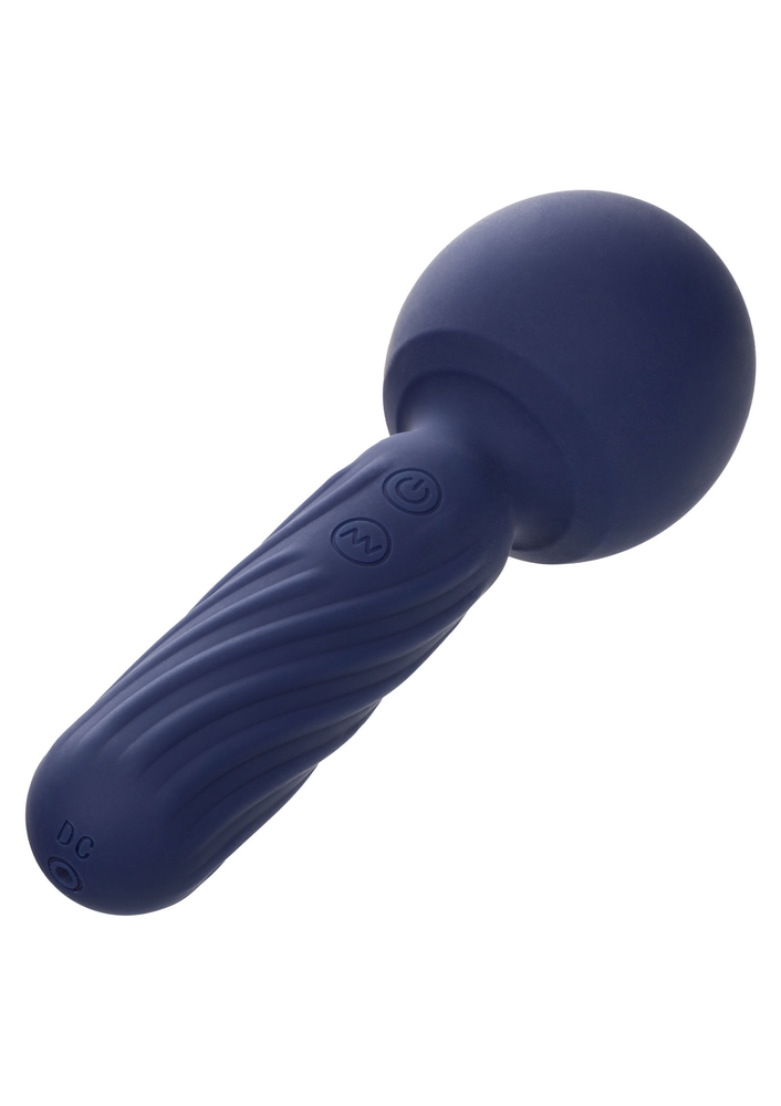 CalExotics Charisma Seduction PURPLE - 9
