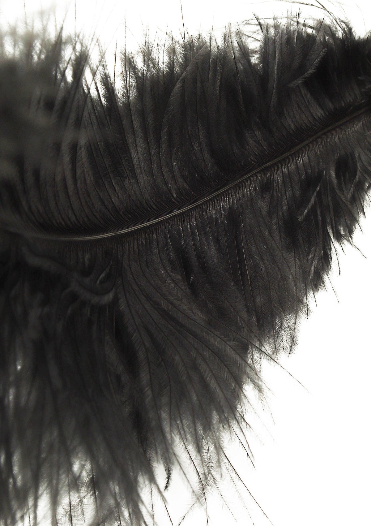 Double Feather Tickler BLACK - 3