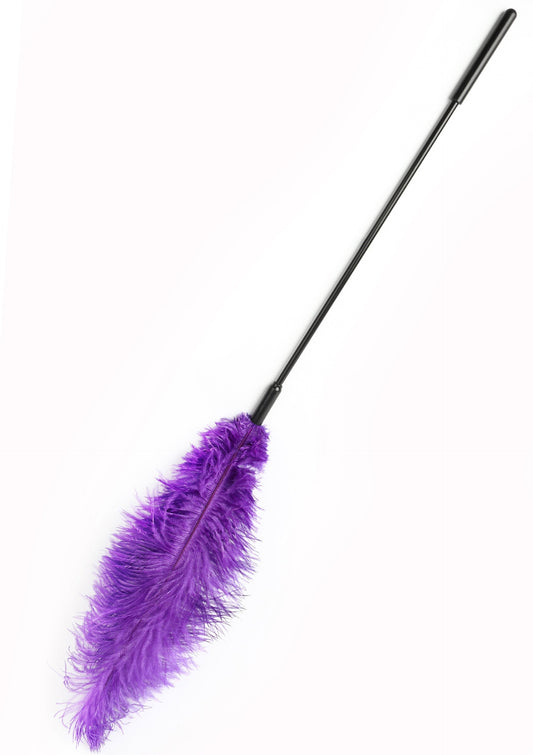 Double Feather Tickler - Paars