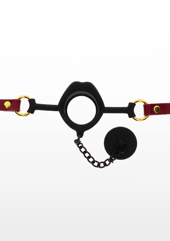 Taboom Bondage in Luxury Kinky Gag with Plug RED - 2