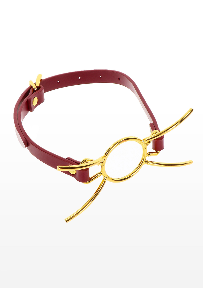 Taboom Bondage in Luxury Open Mouth Spider Gag RED - 5