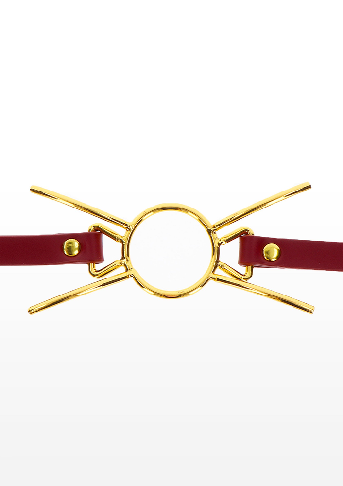 Taboom Bondage in Luxury Open Mouth Spider Gag RED - 4