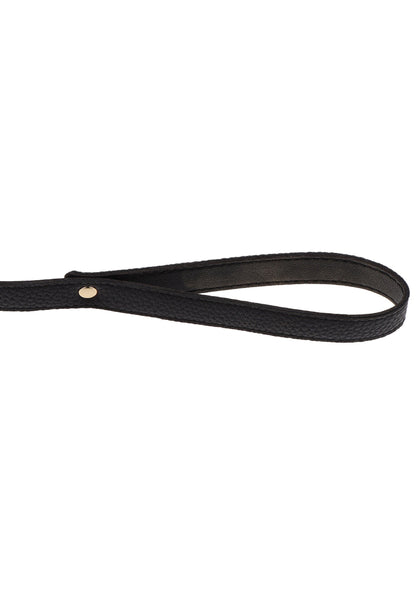 Statement Collar and leash GOLD - 0