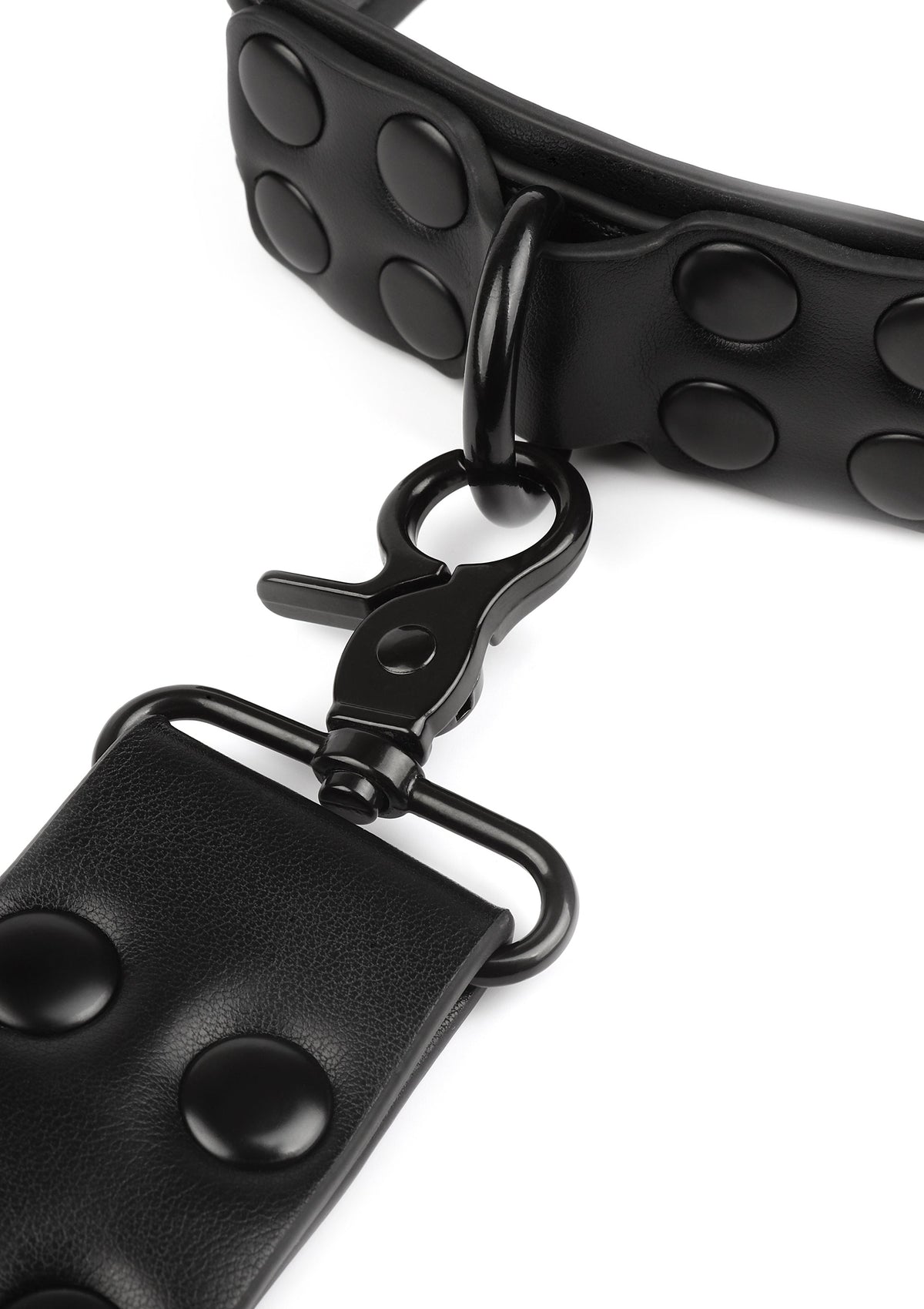 Signature Collar & Leash BLACK - 5