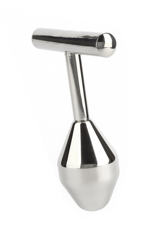 Mr. Steel Pleasure Probe