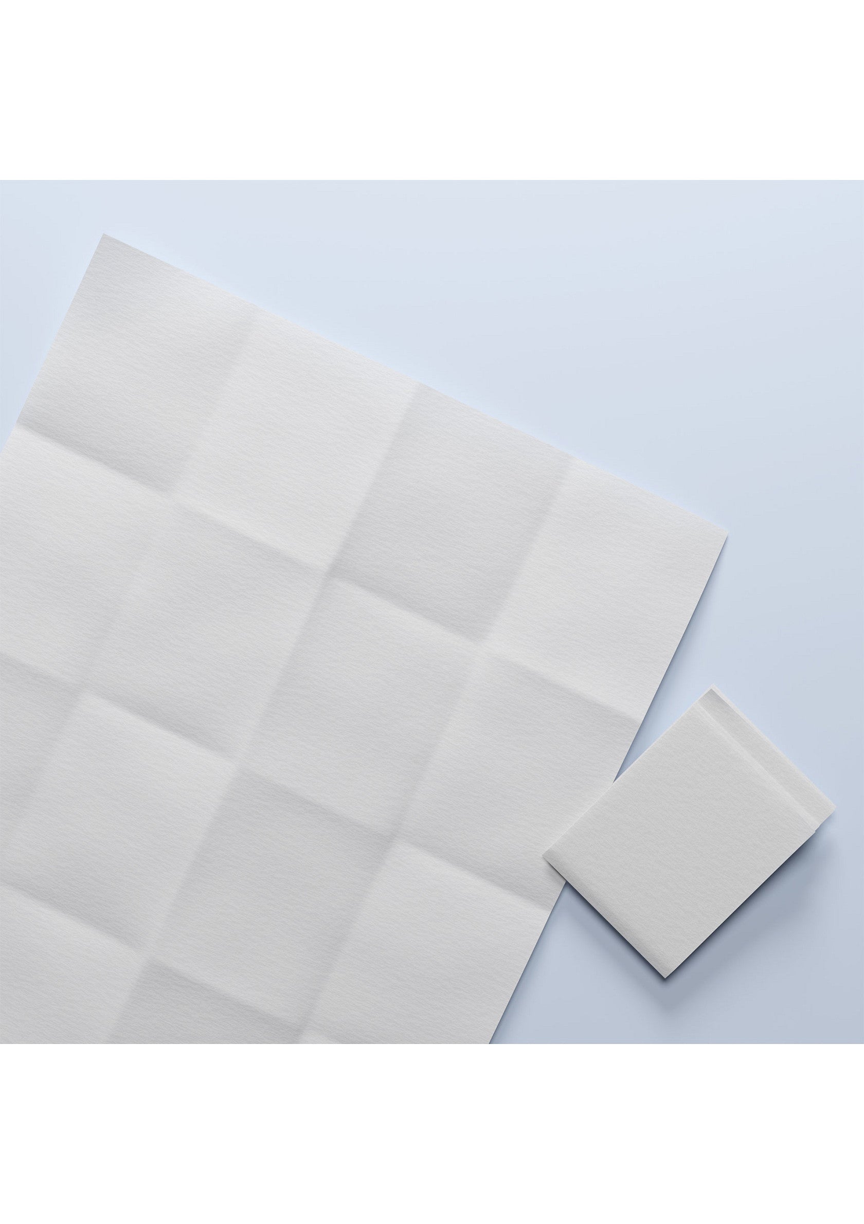 Cobeco MALE  Wipes Delay 6x2.5ml TRANSPA - 1