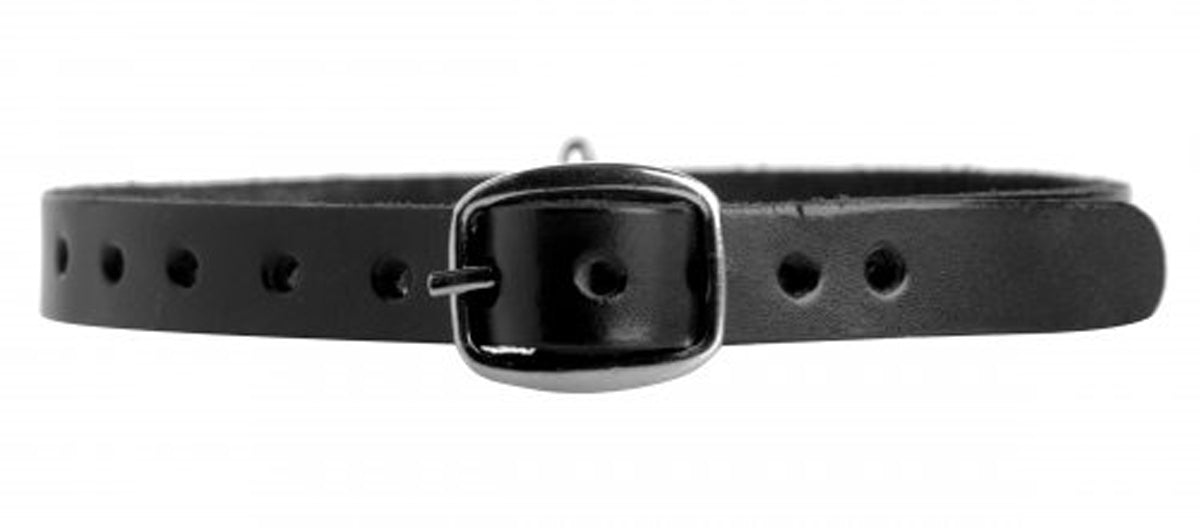 Strict Leather Halsband Met O-Ring